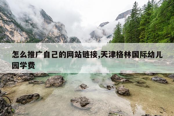 怎么推广自己的网站链接,天津格林国际幼儿园学费