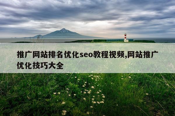 推广网站排名优化seo教程视频,网站推广优化技巧大全