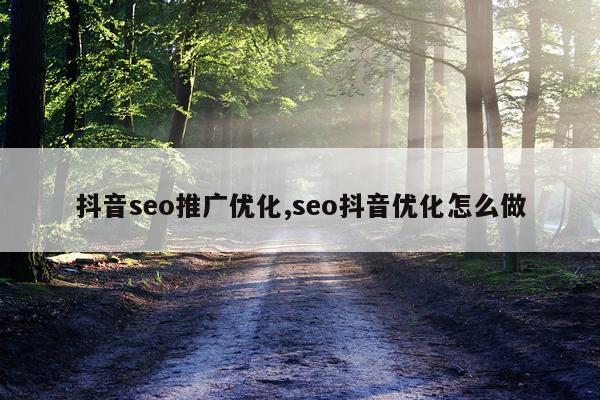 抖音seo推广优化,seo抖音优化怎么做