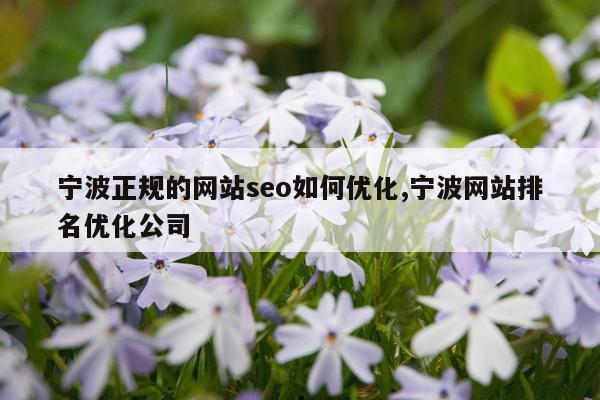 宁波正规的网站seo如何优化,宁波网站排名优化公司