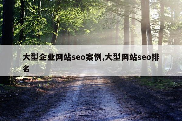 大型企业网站seo案例,大型网站seo排名