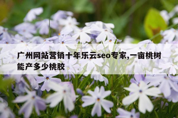 广州网站营销十年乐云seo专家,一亩桃树能产多少桃胶