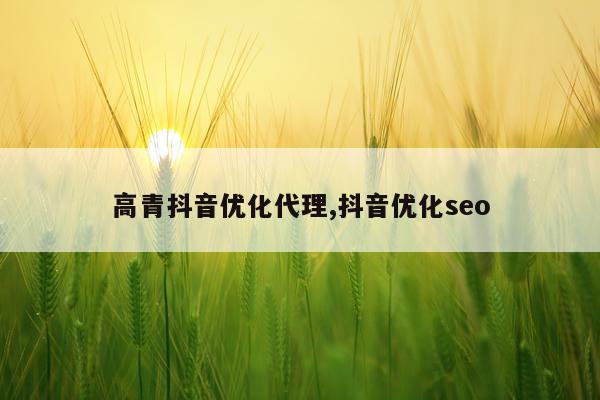 高青抖音优化代理,抖音优化seo