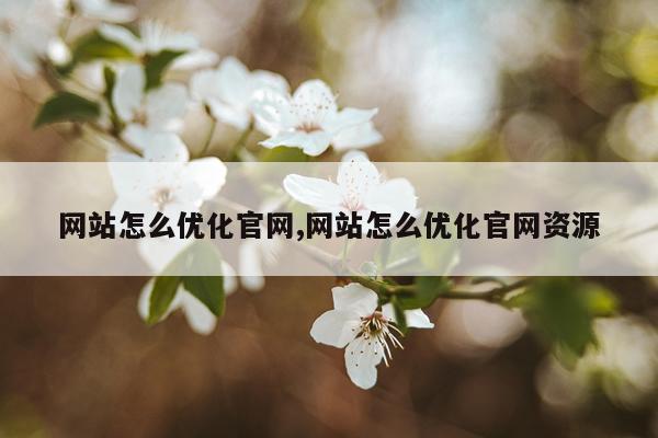 网站怎么优化官网,网站怎么优化官网资源