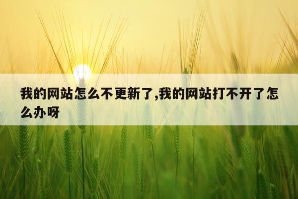 我的网站怎么不更新了,我的网站打不开了怎么办呀