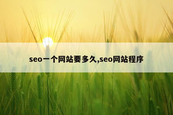 seo一个网站要多久,seo网站程序