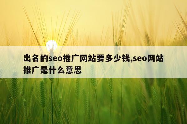 出名的seo推广网站要多少钱,seo网站推广是什么意思