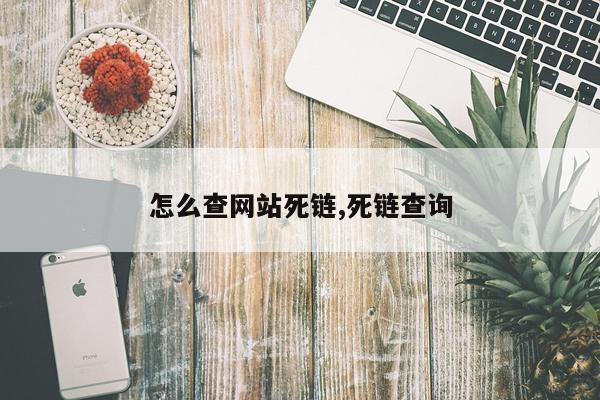怎么查网站死链,死链查询