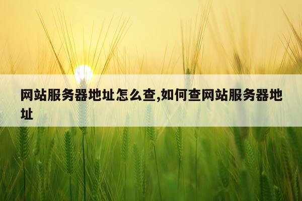 网站服务器地址怎么查,如何查网站服务器地址