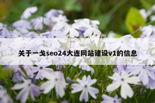 关于一戈seo24大连网站建设v1的信息