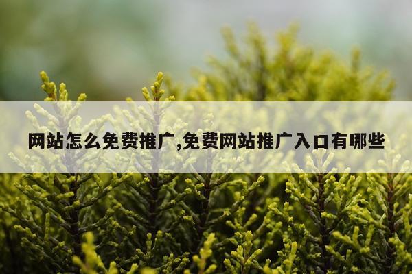 网站怎么免费推广,免费网站推广入口有哪些