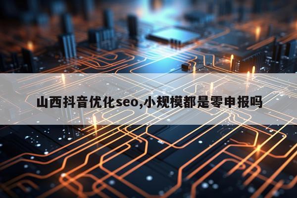 山西抖音优化seo,小规模都是零申报吗