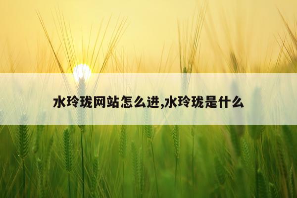 水玲珑网站怎么进,水玲珑是什么