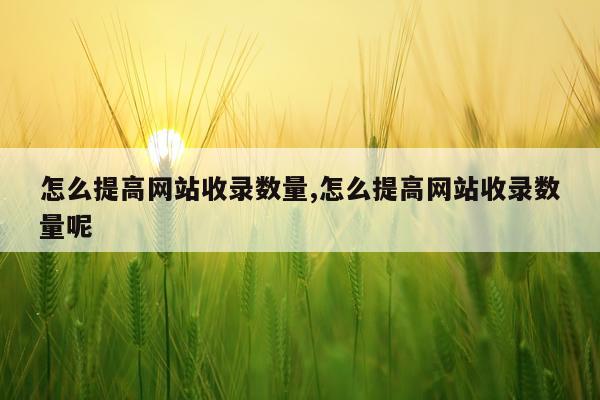 怎么提高网站收录数量,怎么提高网站收录数量呢