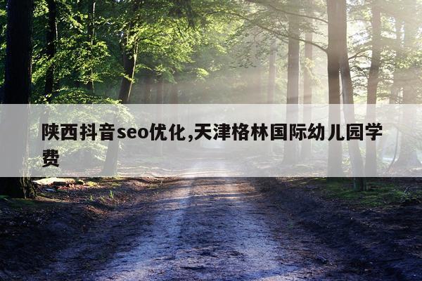 陕西抖音seo优化,天津格林国际幼儿园学费