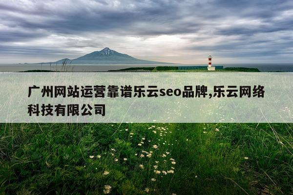 广州网站运营靠谱乐云seo品牌,乐云网络科技有限公司
