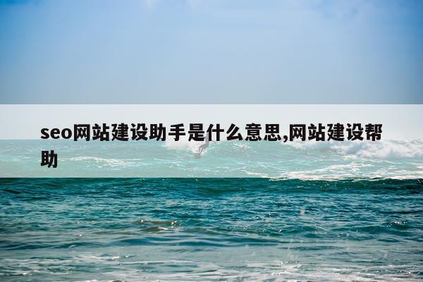 seo网站建设助手是什么意思,网站建设帮助