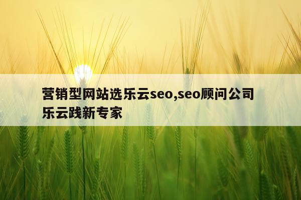 营销型网站选乐云seo,seo顾问公司 乐云践新专家