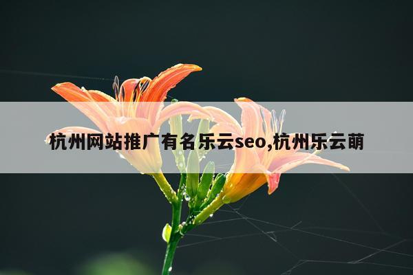 杭州网站推广有名乐云seo,杭州乐云萌