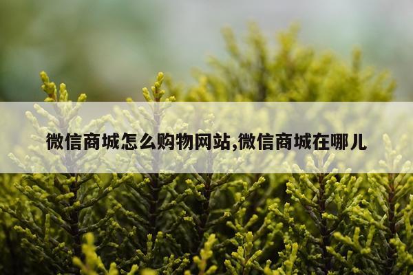 微信商城怎么购物网站,微信商城在哪儿