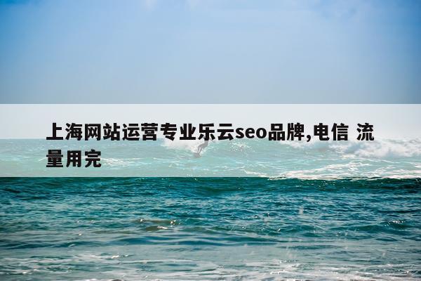 上海网站运营专业乐云seo品牌,电信 流量用完