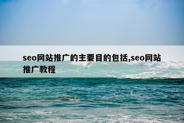 seo网站推广的主要目的包括,seo网站推广教程