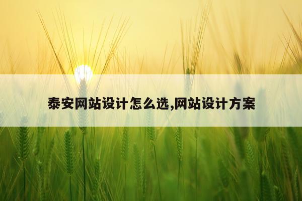 泰安网站设计怎么选,网站设计方案