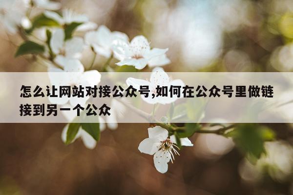 怎么让网站对接公众号,如何在公众号里做链接到另一个公众