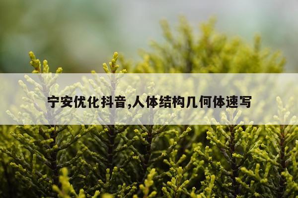 宁安优化抖音,人体结构几何体速写