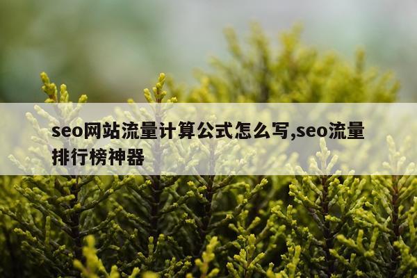 seo网站流量计算公式怎么写,seo流量排行榜神器