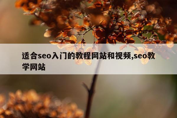 适合seo入门的教程网站和视频,seo教学网站