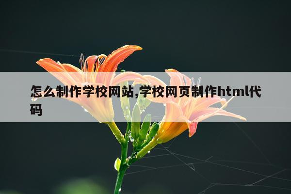 怎么制作学校网站,学校网页制作html代码