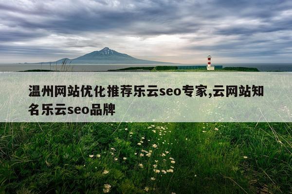 温州网站优化推荐乐云seo专家,云网站知名乐云seo品牌