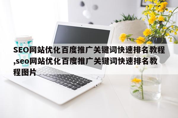 SEO网站优化百度推广关键词快速排名教程,seo网站优化百度推广关键词快速排名教程图片