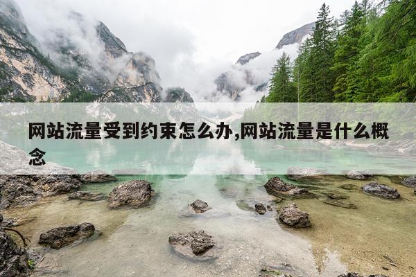 网站流量受到约束怎么办,网站流量是什么概念