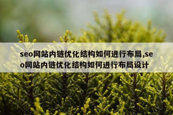 seo网站内链优化结构如何进行布局,seo网站内链优化结构如何进行布局设计