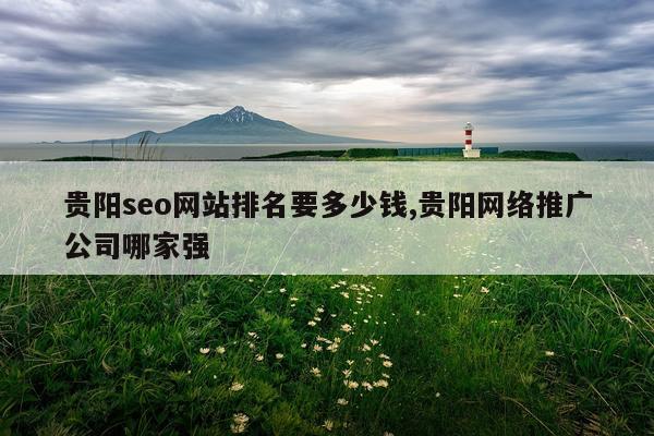 贵阳seo网站排名要多少钱,贵阳网络推广公司哪家强