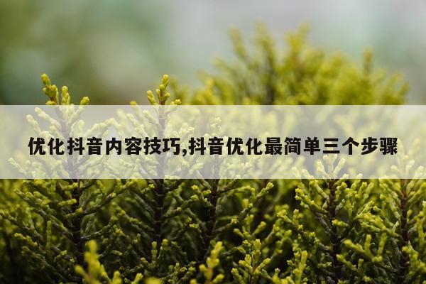 优化抖音内容技巧,抖音优化最简单三个步骤