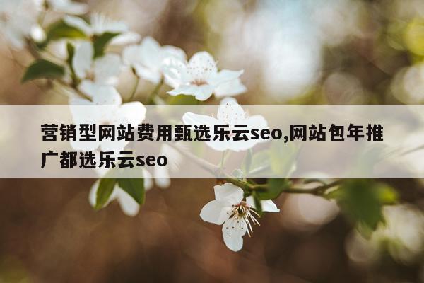 营销型网站费用甄选乐云seo,网站包年推广都选乐云seo
