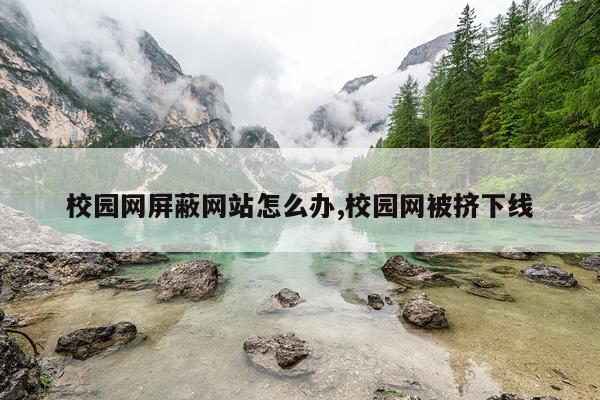 校园网屏蔽网站怎么办,校园网被挤下线