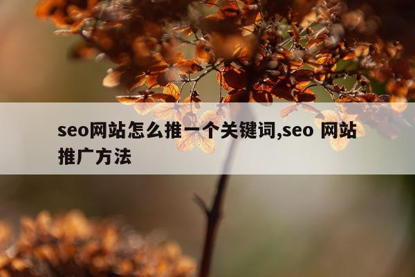 seo网站怎么推一个关键词,seo 网站推广方法