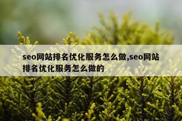 seo网站排名优化服务怎么做,seo网站排名优化服务怎么做的