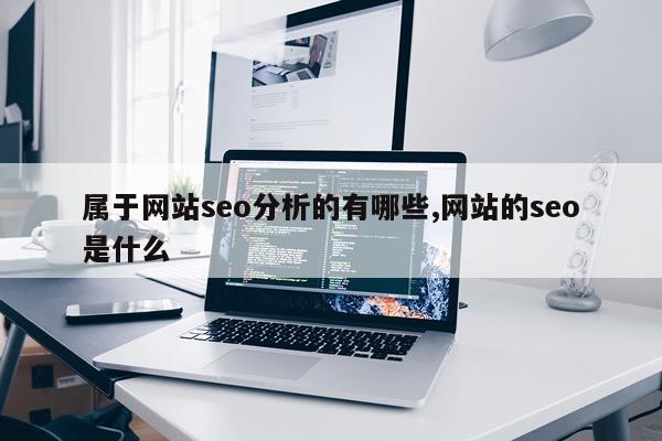 属于网站seo分析的有哪些,网站的seo是什么