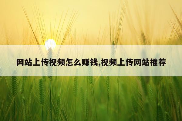 网站上传视频怎么赚钱,视频上传网站推荐