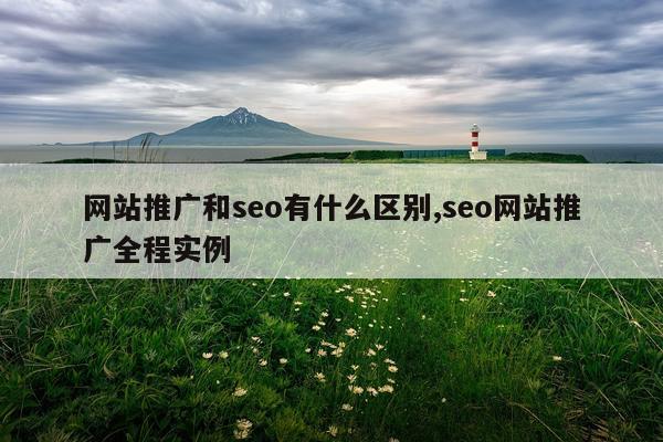 网站推广和seo有什么区别,seo网站推广全程实例