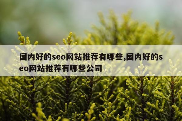 国内好的seo网站推荐有哪些,国内好的seo网站推荐有哪些公司