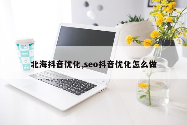北海抖音优化,seo抖音优化怎么做