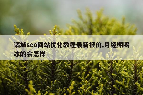 诸城seo网站优化教程最新报价,月经期喝冰的会怎样