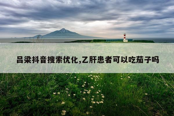 吕梁抖音搜索优化,乙肝患者可以吃茄子吗