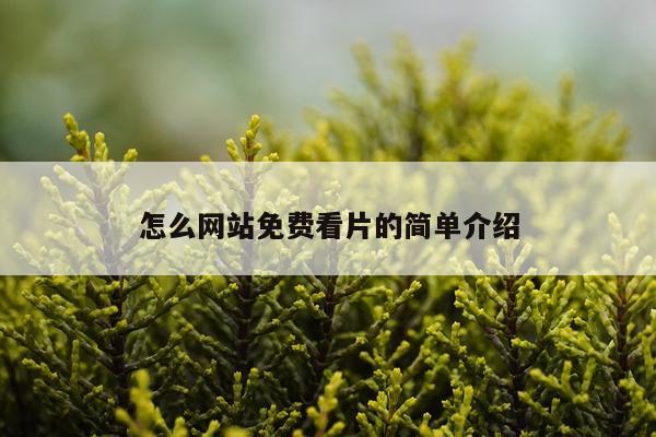 怎么网站免费看片的简单介绍